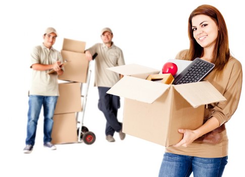 Waste collection and disposal compliance for van service