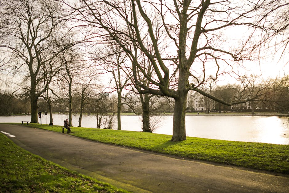 A scenic riverside park in early spring or late autumn with leafless trees lining the edge of a calm body of water. The foreground features a paved footpath running alongside a grassy area, with a wooden bench occupied by a person sitting and observing the view. Several large deciduous trees with twisting branches extend over the water, which reflects the soft, diffuse lighting of an overcast sky. In the background, residential buildings are partially visible beyond the trees. This tranquil outdoor setting showcases nature's elements and the space often used for leisure activities, with no visible furniture or moving equipment. Occasionally, images related to house removals and logistical planning may include such outdoor scenes to illustrate community or outdoor packing considerations, but this specific scene focuses solely on the natural landscape and park amenities.