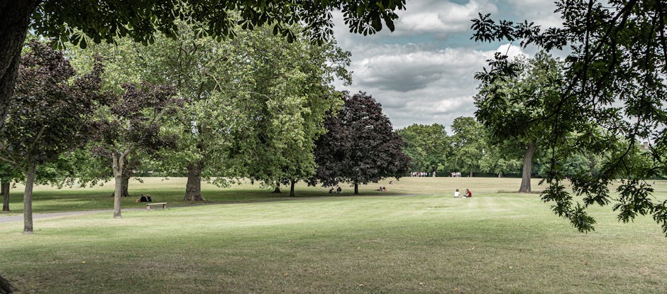A spacious park with a wide grassy area surrounded by a variety of mature trees, including deciduous species with green and dark purple foliage. Several people are visible sitting on benches and on the grass, engaging in relaxing activities. The scene is set under a partly cloudy sky, providing natural light that illuminates the park's landscape. Visible in the foreground and background are trees with extending branches, some with overhanging leaves creating a natural frame for the scene. The environment appears calm and suitable for outdoor leisure during a home relocation or moving process. The park's open space and greenery make it an ideal location for loading or unloading items during a house move. This image is associated with Man with Van Hackney Marshes, a professional removals service, demonstrating a typical outdoor environment used for transportation and logistical planning related to packing and moving services.