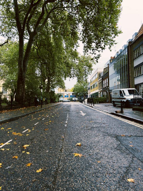 A view of a city street with a paved road wet from recent rain, scattered with yellow fallen leaves. Tall, mature trees with green foliage line the left side of the street, providing partial shade. On the right side, modern multi-storey office buildings with large windows and brick facades are visible, along with a white van parked on the pavement. The street appears quiet with no pedestrians or moving vehicles in sight. This scene is typical of an urban area in Hackney Marshes, where house and office removals are common, and the environment is suited for professional moving services such as those provided by Man with Van Hackney Marshes involved in packing, loading, and transporting furniture and boxes during home relocation or office moves.