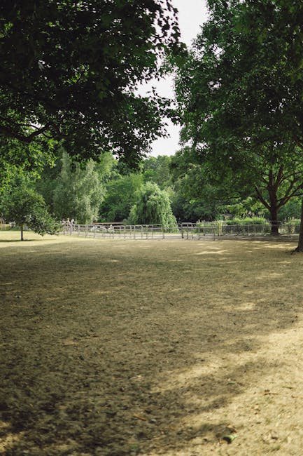 The image depicts a spacious outdoor area within a park or garden, featuring a flat, grassy ground with a mix of green and brown patches, possibly indicating recent maintenance or natural variation. Tall trees with dense, leafy canopies frame the scene on both sides, providing shade and creating a natural border. In the background, a wooden fence surrounds the area, separating it from additional greenery and trees beyond. The sky is visible through the gaps in the tree branches, suggesting a bright, clear day. This setting offers a calm environment suitable for outdoor activities or event setups and may serve as a location for loading and unloading during home relocation or moving services. Man with Van Hackney Marshes, a professional removals company, might utilize such outdoor spaces for vehicle access or equipment staging during furniture transport and packing processes, ensuring efficient and organized home relocation operations.